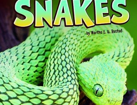 Little Explorer: Snakes Hot on Sale