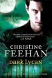 Dark Lycan (Dark Carpathian Series #24) Cheap